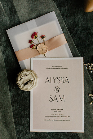 Alyssa-Sam-Wisneski-1013