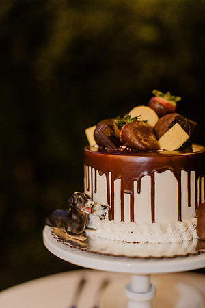 Laura-Tim-Wedding-Highlights-1206