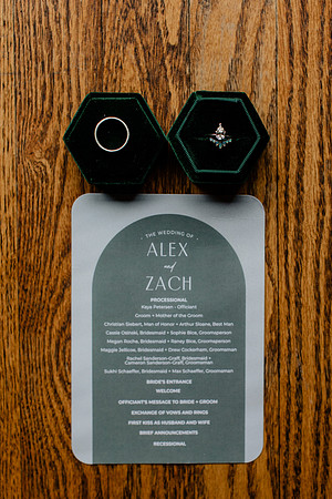 Alex-Zach-Bice-Wedding-1007