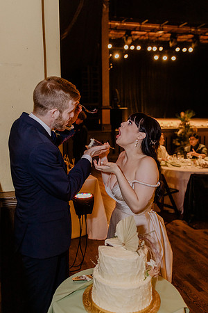 Alex-Zach-Bice-Wedding-2343