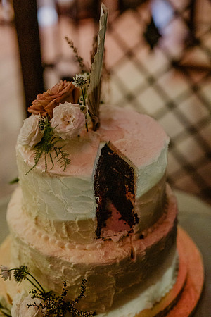 Alex-Zach-Bice-Wedding-2351