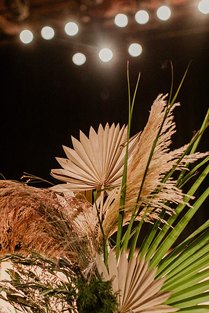 Alex-Zach-Bice-Wedding-2519