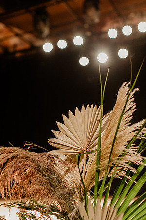 Alex-Zach-Bice-Wedding-2518