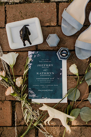 Kathryn-Jeff-Rollo-Wedding-1011