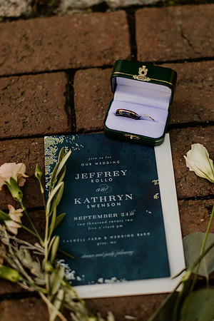 Kathryn-Jeff-Rollo-Wedding-1013