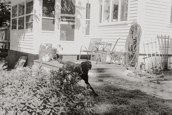 Kathryn-Jeff-Rollo-Wedding-1045