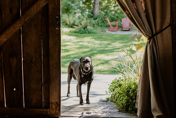 Kathryn-Jeff-Rollo-Wedding-1079