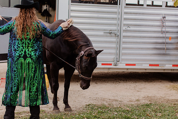 sam-horses-22-1014