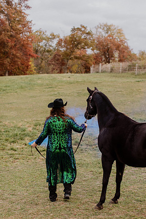 sam-horses-22-1030