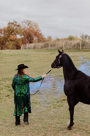 sam-horses-22-1031