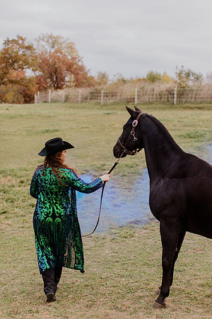sam-horses-22-1032