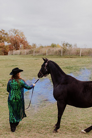 sam-horses-22-1033