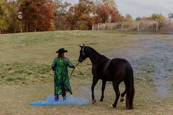 sam-horses-22-1034