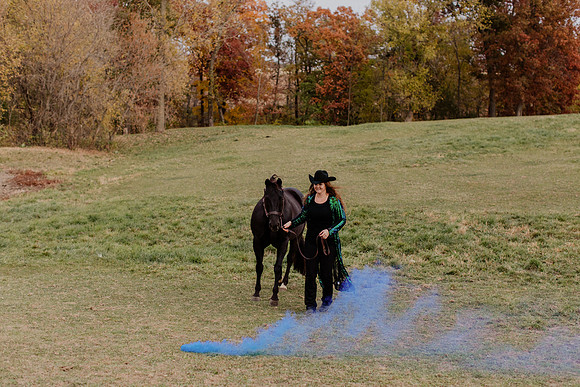 sam-horses-22-1035