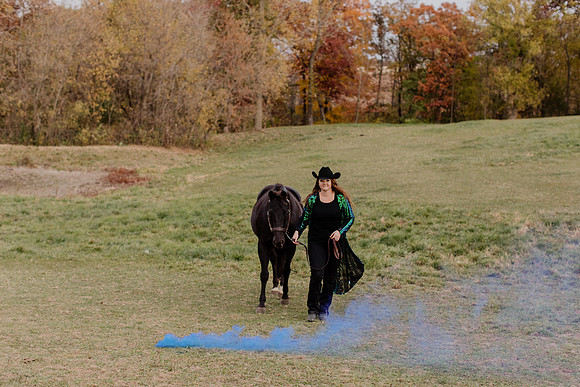 sam-horses-22-1037