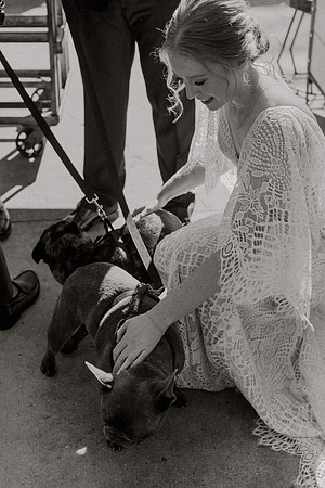 Taylor-Eddie-Harding-1181