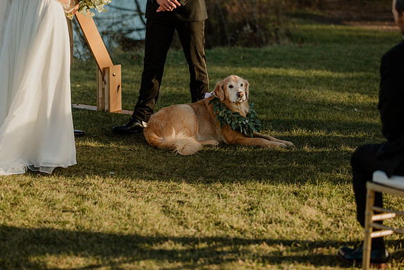 Ashley-Luke-Stecker-1075