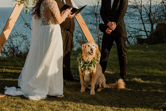 Ashley-Luke-Stecker-1122