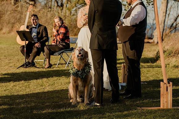 Ashley-Luke-Stecker-1128