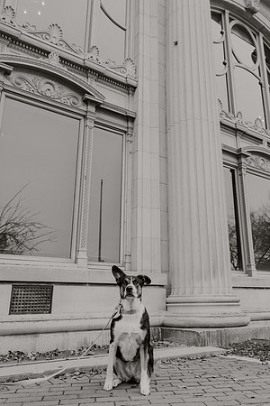 Mary-Bryce-Ensor-Wedding-1345