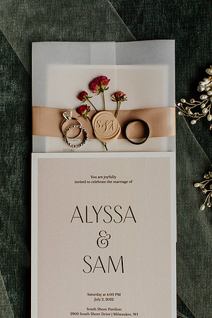 Alyssa-Sam-Wisneski-1016