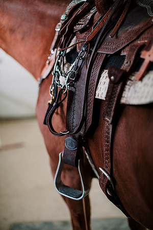 AKHorsemanship-1094