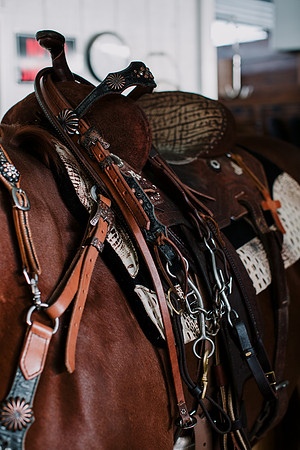 AKHorsemanship-1091