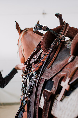 AKHorsemanship-1093
