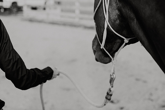 AKHorsemanship-1090