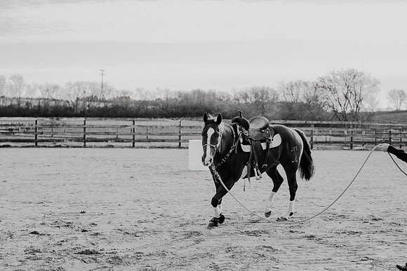 AKHorsemanship-1076