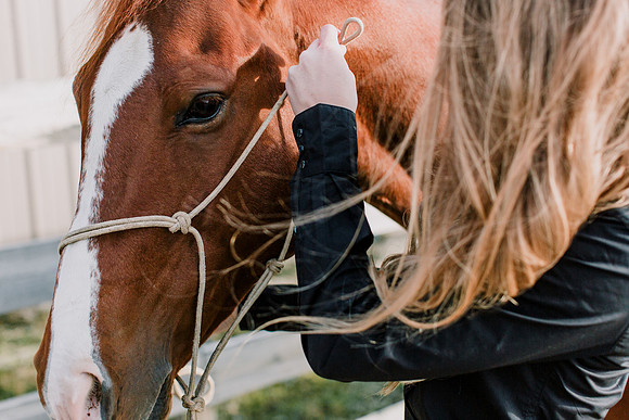 AKHorsemanship-1061