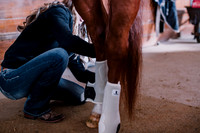 AKHorsemanship-1016