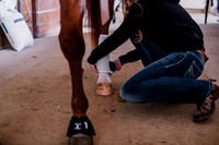 AKHorsemanship-1014