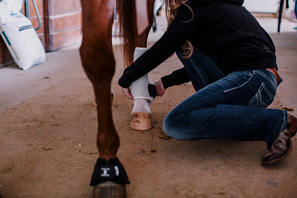 AKHorsemanship-1014