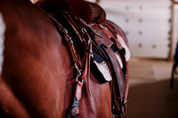 AKHorsemanship-1015
