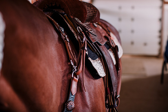 AKHorsemanship-1015