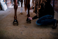 AKHorsemanship-1013