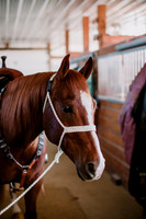 AKHorsemanship-1011