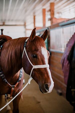 AKHorsemanship-1011