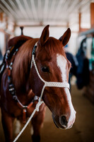 AKHorsemanship-1012