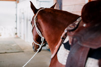 AKHorsemanship-1009
