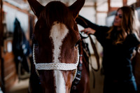 AKHorsemanship-1007