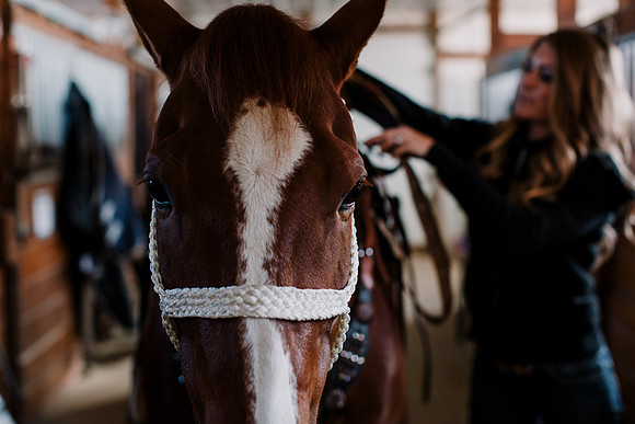 AKHorsemanship-1007