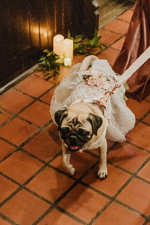 Sarah-Lauren-Wed-Highlights-1143