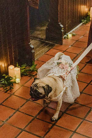 Sarah-Lauren-Wed-Highlights-1142