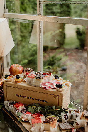 Emily-Danny-Steenrod-2502