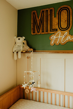 Milo-Newborns-1009