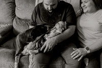 Vliet-Newborns-Final-Edits-1013