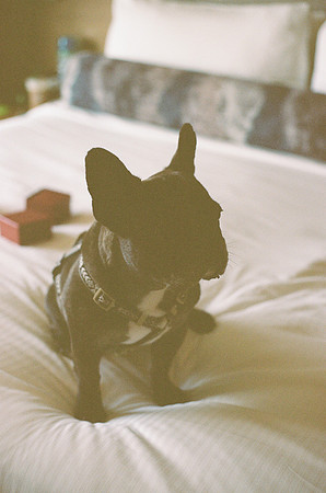 Julia-Edward-Film-1003