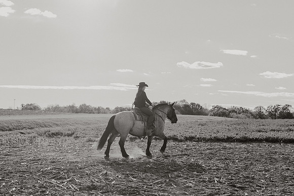 SBL-Horses-2023-1004